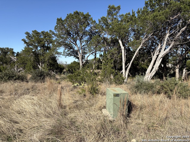 Image 12 of 14 For Lot 209 Palomino Springs