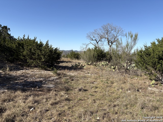 Image 14 of 14 For Lot 209 Palomino Springs