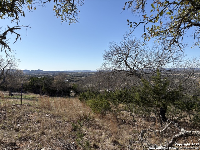 Image 3 of 14 For Lot 209 Palomino Springs