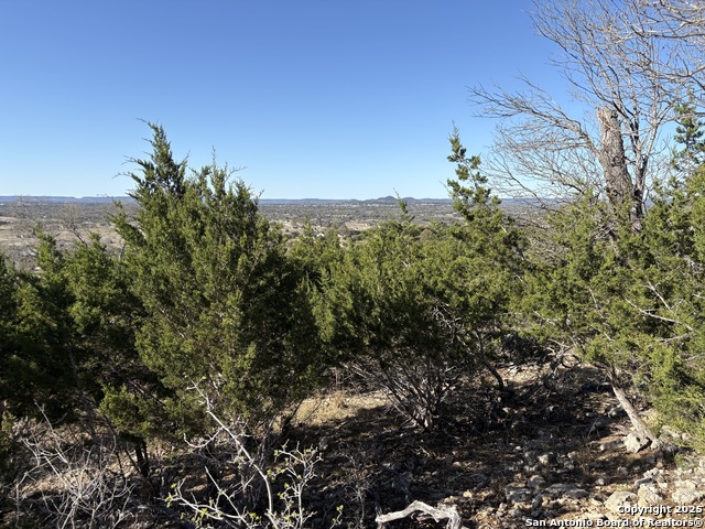Image 4 of 14 For Lot 209 Palomino Springs
