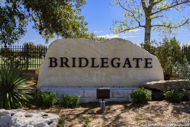 Image 6 of 14 For Lot 209 Palomino Springs