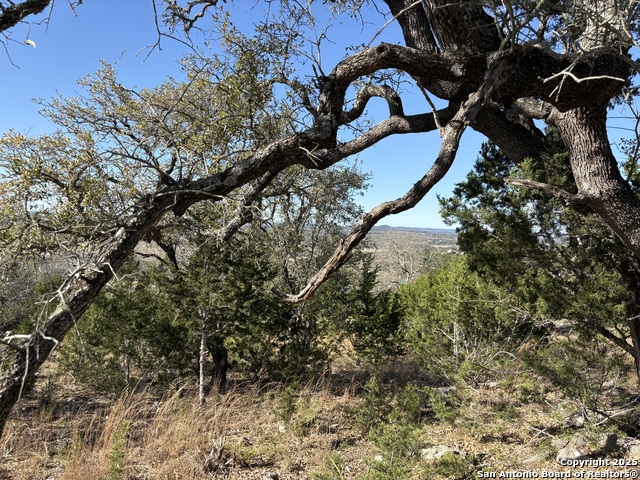 Image 8 of 14 For Lot 209 Palomino Springs