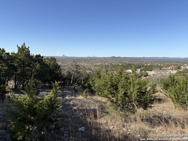 Image 9 of 14 For Lot 209 Palomino Springs