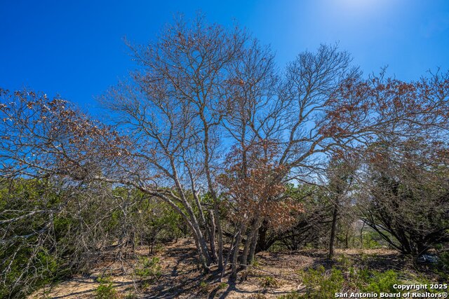 Image 15 of 19 For 0000 Holdsworth Drive N
