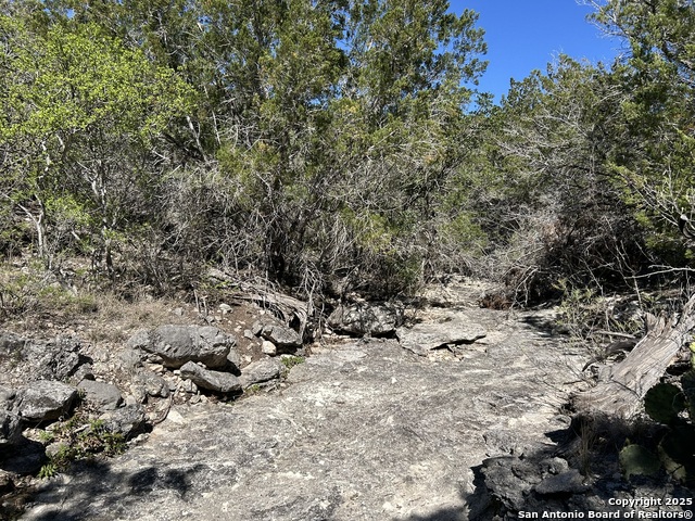Listing photo id 9 for 0 Mesa Verde Dr