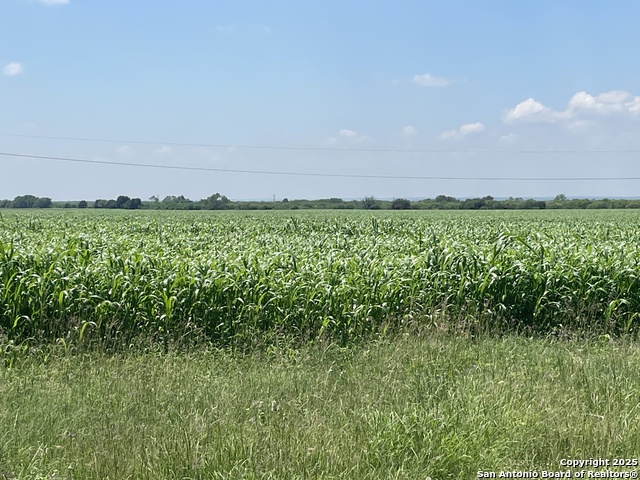 Details for 4900 Fm 81  , Runge, TX 78151