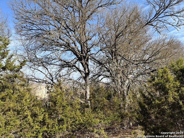 Image 4 of 7 For 2101 Stoneledge Dr N