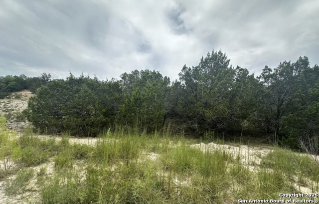 Listing photo id 2 for 230 & 250 Indian Trl