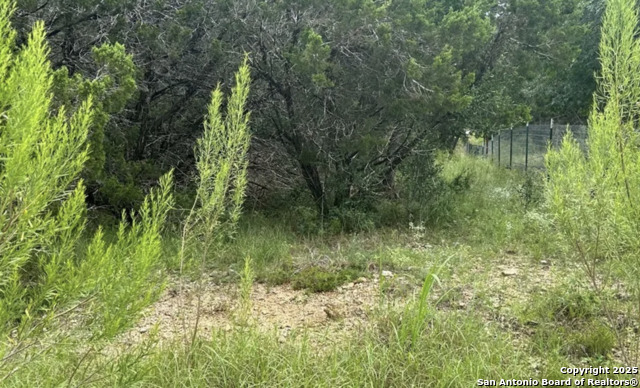 Listing photo id 5 for 230 & 250 Indian Trl