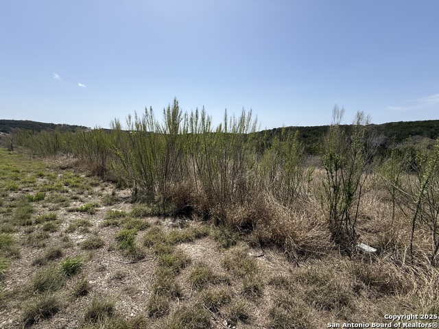 Image 3 of 7 For Pr 2775  