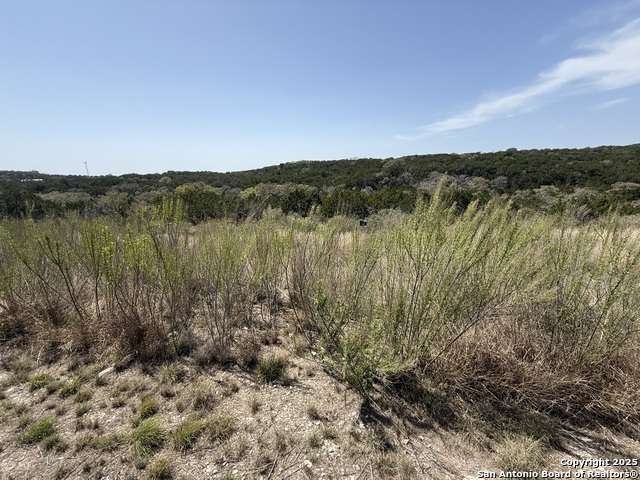 Image 5 of 7 For Pr 2775  