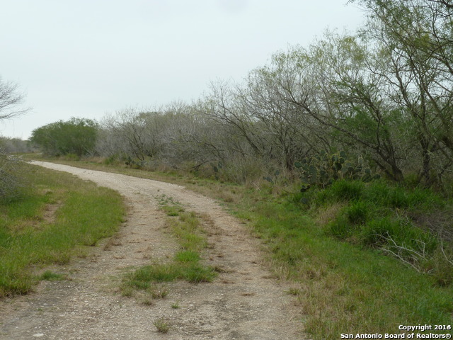 Image 3 of 10 For 1956 Fm 1554