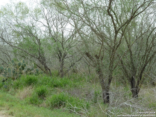 Image 4 of 10 For 1956 Fm 1554