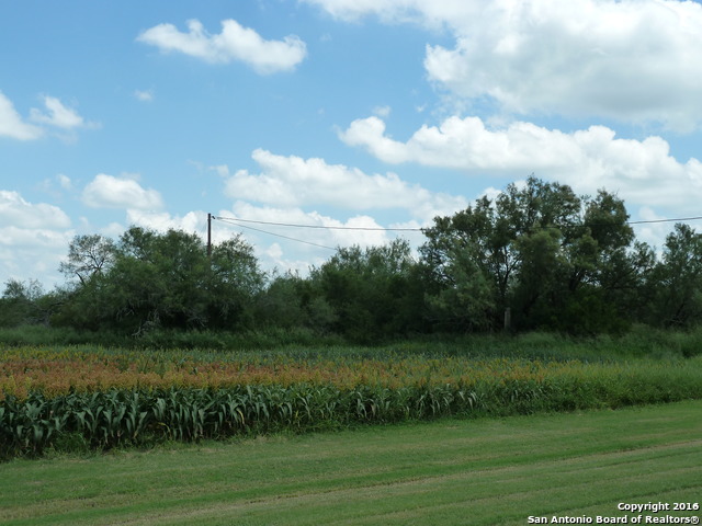 Image 6 of 10 For 1956 Fm 1554