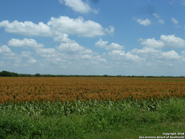 Image 7 of 10 For 1956 Fm 1554