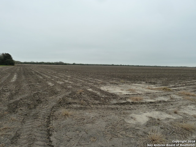 Image 8 of 10 For 1956 Fm 1554