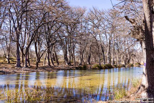 Details for 2350 Little Dry Frio Road, Rio Frio, TX 78879