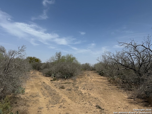 Details for 000 Los Alamos, Cotulla, TX 78014