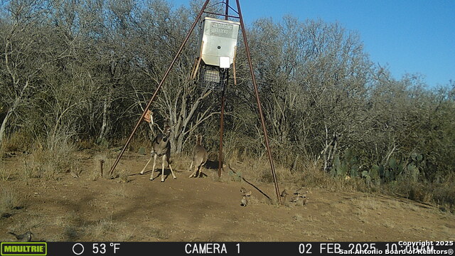 Image 11 of 43 For 000 Los Alamos