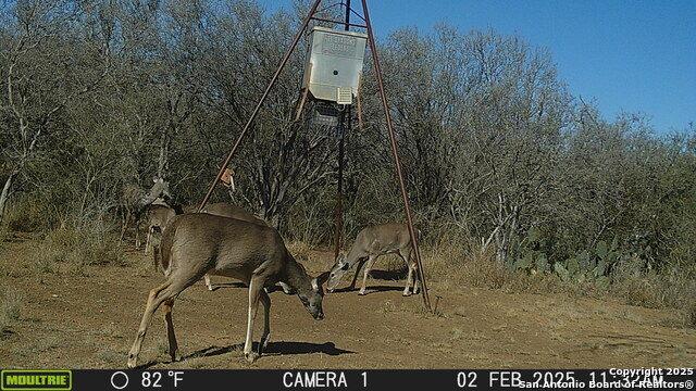 Image 12 of 43 For 000 Los Alamos