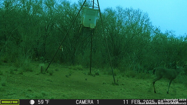 Image 13 of 43 For 000 Los Alamos