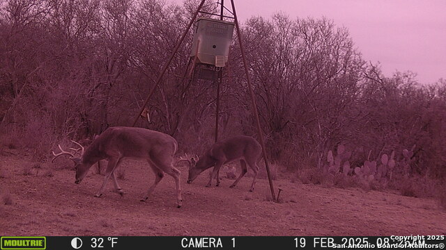 Image 14 of 43 For 000 Los Alamos