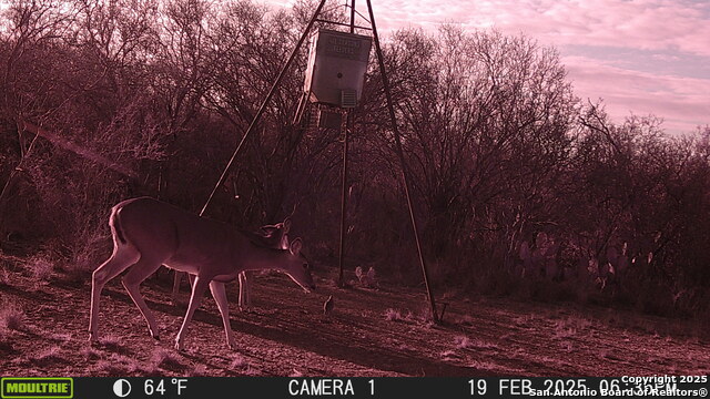 Image 15 of 43 For 000 Los Alamos