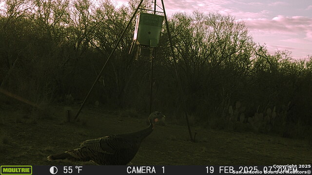 Image 16 of 43 For 000 Los Alamos