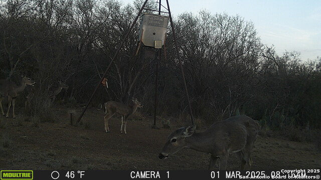 Image 17 of 43 For 000 Los Alamos