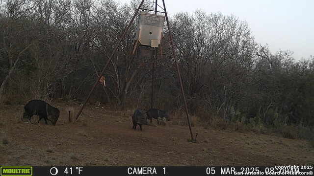 Image 18 of 43 For 000 Los Alamos