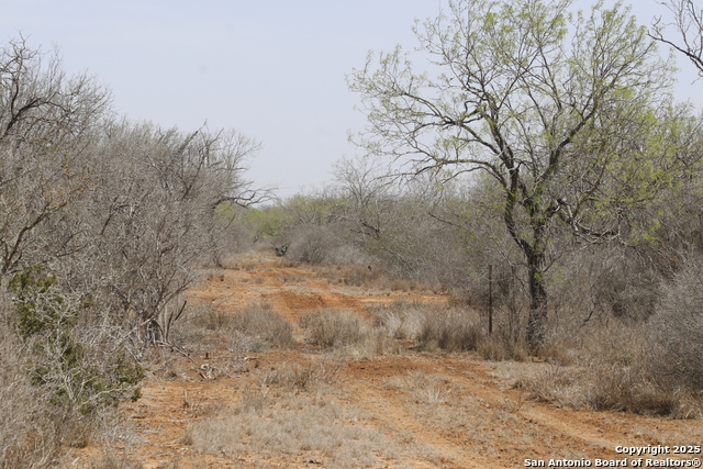 Image 21 of 43 For 000 Los Alamos