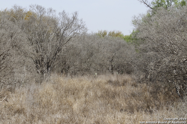 Image 22 of 43 For 000 Los Alamos