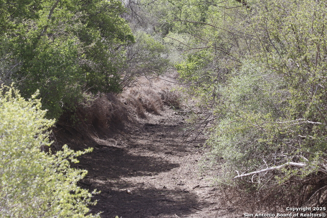 Image 27 of 43 For 000 Los Alamos