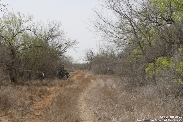Image 28 of 43 For 000 Los Alamos