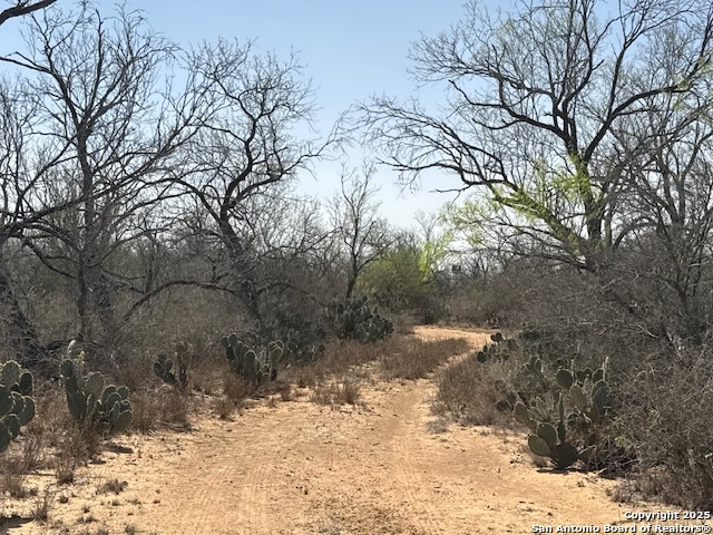 Image 37 of 43 For 000 Los Alamos