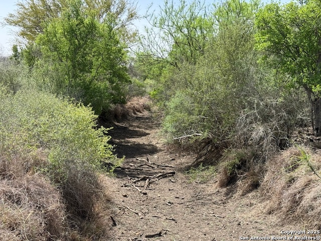 Image 4 of 43 For 000 Los Alamos