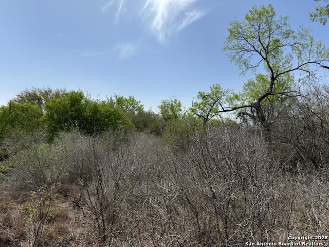 Image 5 of 43 For 000 Los Alamos