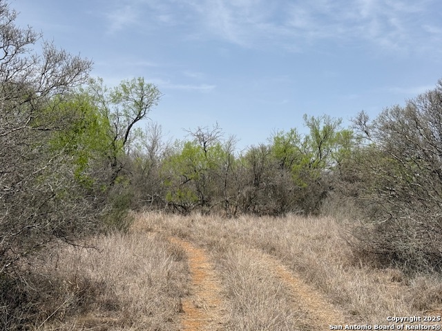 Image 6 of 43 For 000 Los Alamos