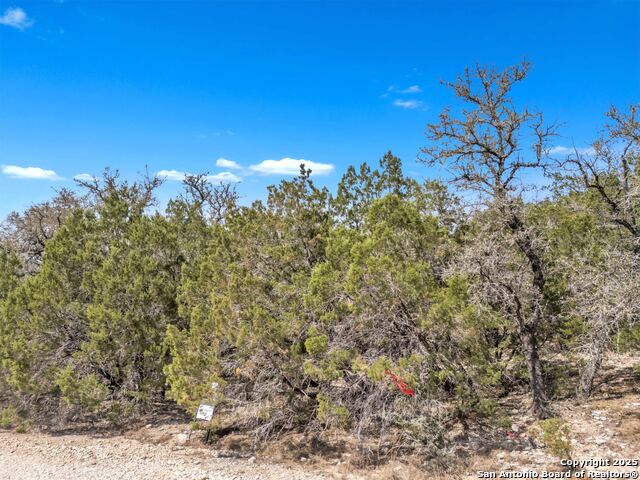 Image 11 of 28 For 000 Frio Canyon Loop