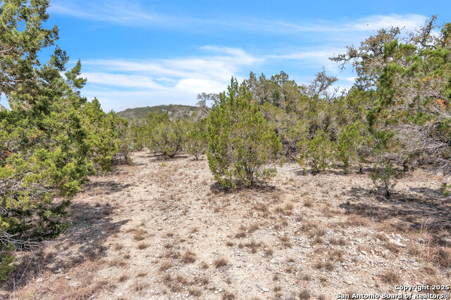 Image 6 of 28 For 000 Frio Canyon Loop