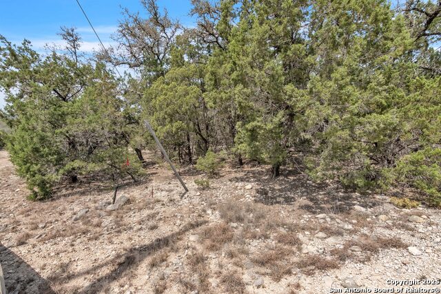 Image 9 of 28 For 000 Frio Canyon Loop