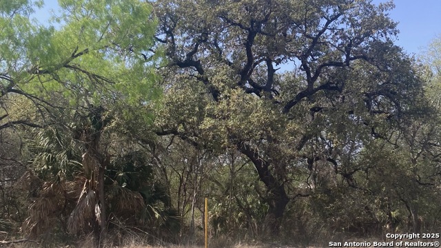 Details for 000 Fm 471 Fm 471 S, Natalia, TX 78059