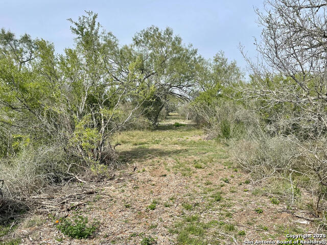 Image 4 of 4 For 169 County Road 1670