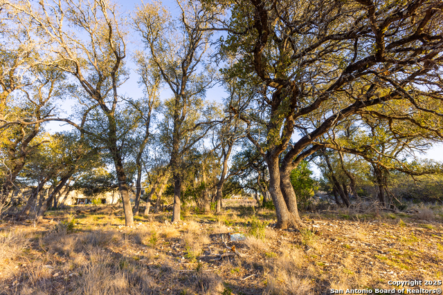 Listing photo id 8 for 5803 Circulo