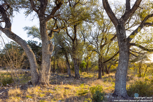 Listing photo id 9 for 5803 Circulo