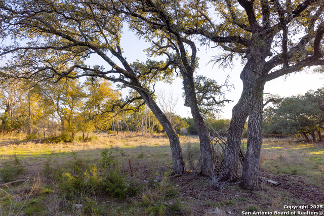 Listing photo id 10 for 5803 Circulo