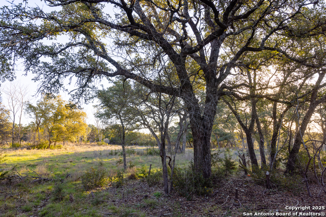 Listing photo id 11 for 5803 Circulo