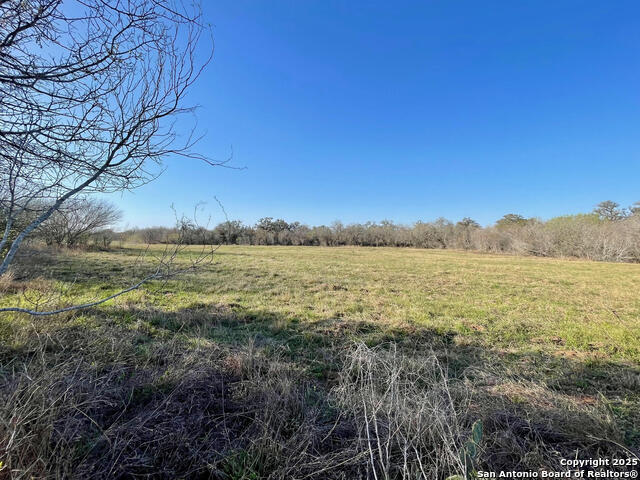 Listing photo id 4 for Tract 3 West King Lane