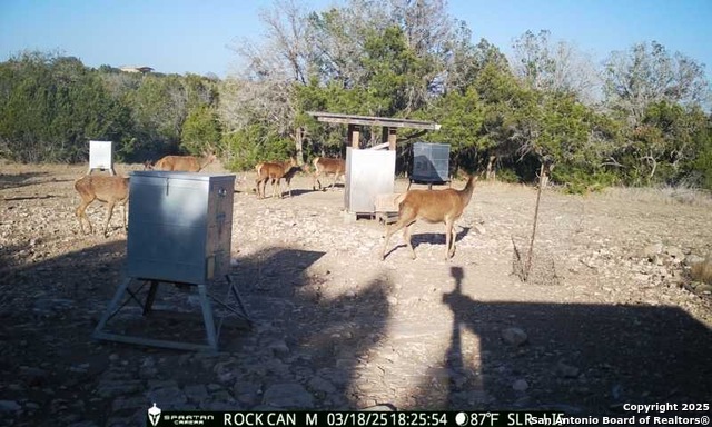 Listing photo id 11 for 3190 Sd 24910