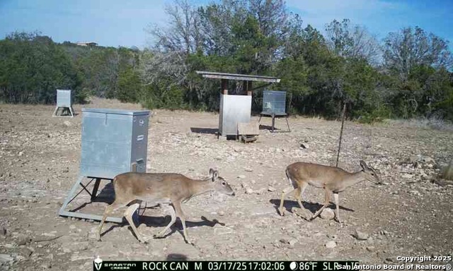 Listing photo id 15 for 3190 Sd 24910